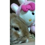 なお兄