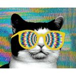 Mad_Cat666
