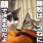 SUEZOU