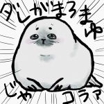 すいが