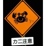 蟹さん