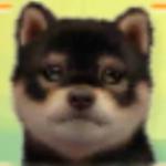 わたくし。