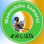 まめしば侍