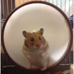 userPhoto