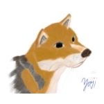アルコンガ