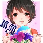 菖蒲