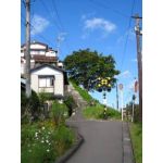 くまけい