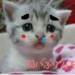 ロバぶりヅラ子