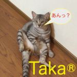 Taka®