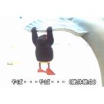 しまごん2
