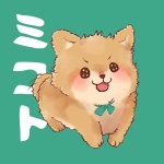 userPhoto