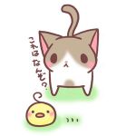 月火