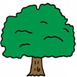 ブラ