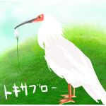TOKISABURO