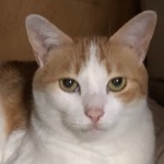 ベーやん