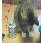 寿司パンチ