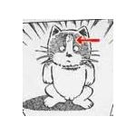 月の輪の雷蔵