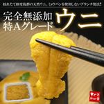 ウニが主食です
