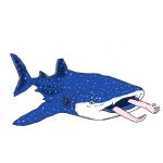 ふかわん