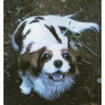 userPhoto