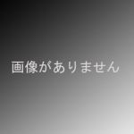 水龍