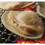 CLAM