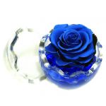 cobalt