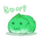 甘藍