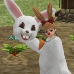 PIP