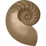 Nautilus99