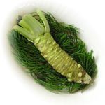 wasabi