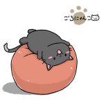 てんちぃー