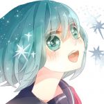 せりぬま