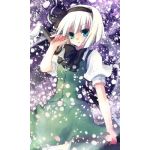 はやさま