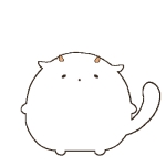 niroa