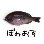 ボミオス