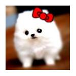狂犬もちお