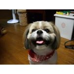 こうちゃん