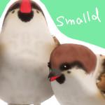 smalld
