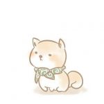 userPhoto