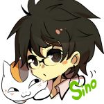 シノ