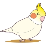 らいぶろ