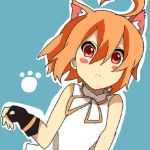 あらき