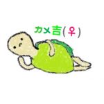 カメ吉(♀)