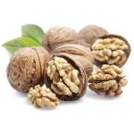 WalnutS-それはくるみ