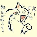 まー坊