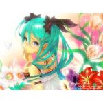 あみゅっち