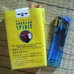 センター西野り