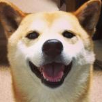 ﾀﾛﾁｬﾝ