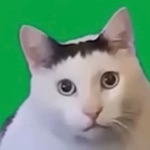 Bit Takeshi